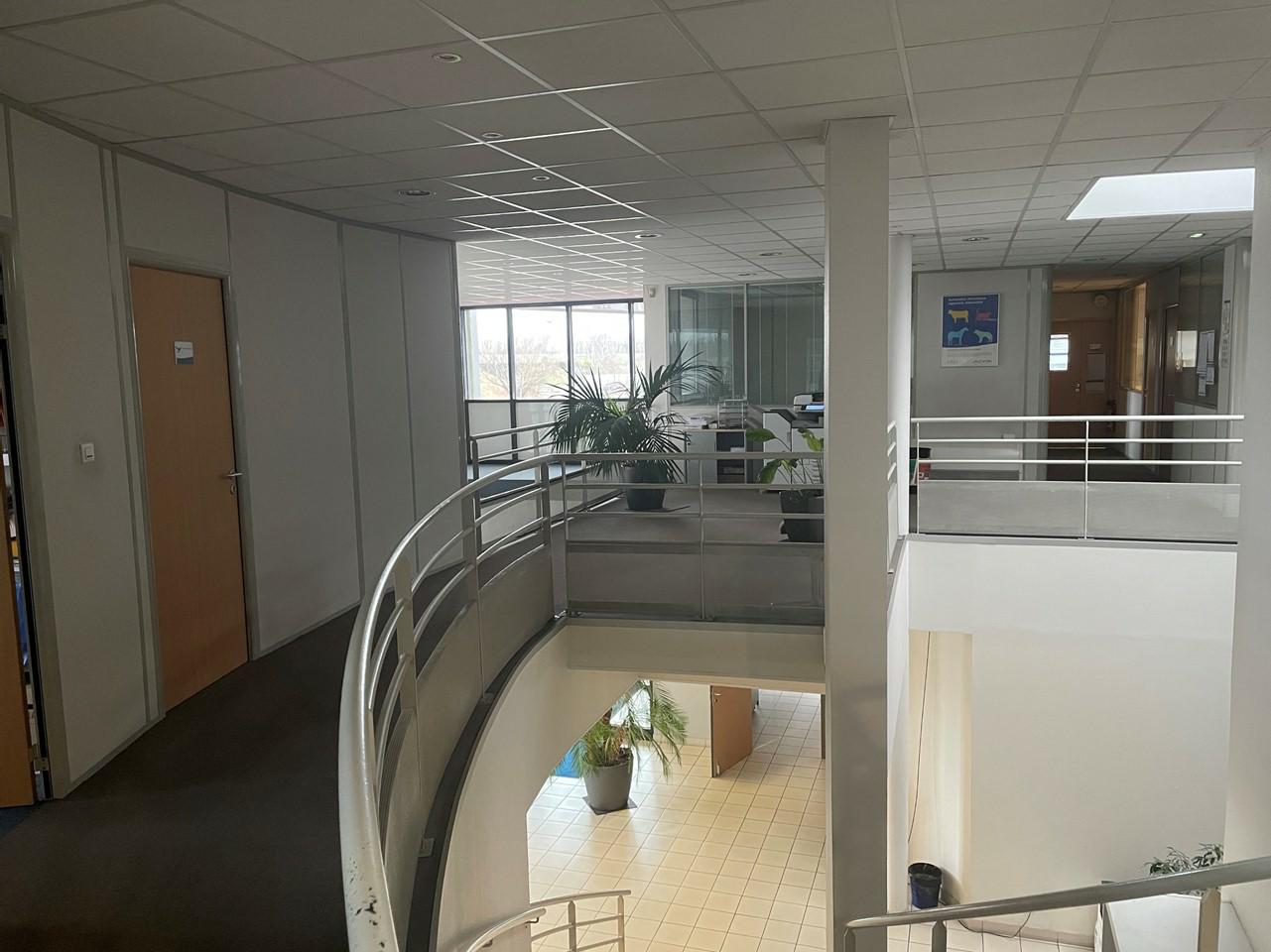 Local d'activité Miribel 10773m² Location local d'activité Miribel Ain OLACT2314296 6